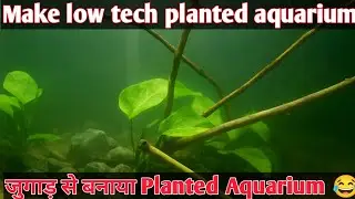 Low Tech Planted Aquarium Setup | Zero CO2, Budget Mein Natural Aquascape  