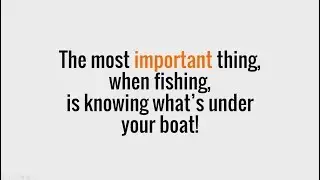 Fish finder basics | Tips and tricks to use your fish finder and catch more fish