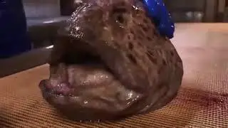 MUST SEE   Decapitated (Devil)  Wolf-Fish Bite  RetroAi Unleashed