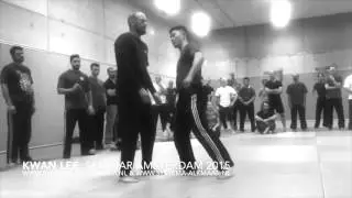 Systema Amsterdam Kwan Lee Seminar 2015