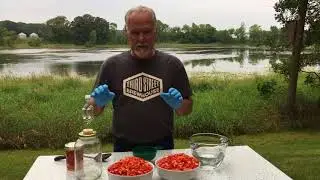 How to make lacto-fermented Carolina Reaper sauce part 1