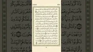 الوجه 63 من القرآن مكرر 10 مرات مع الآيات لتسهيل الحفظ | سورة آل عمران | الشيخ عبد الباسط عبد الصمد