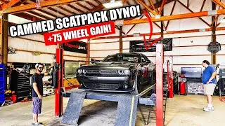 Cammed Challenger Scatpack hits the Dyno! (IMPRESSIVE POWER GAINS!!) 