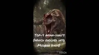#dinolove #dinosaur #dinofan #aviandinosaur #dinosaurus #raptors #facts #funfacts #dinofacts