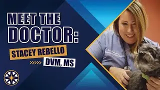 Meet the NorthStar VETS Team: Stacey Rebello, DVM, MS