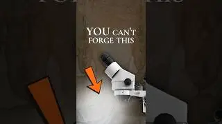 This Image SHOULDN'T EXIST...