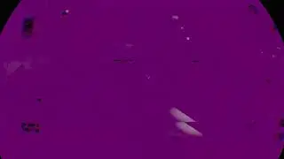 Five nights at Freddys VR