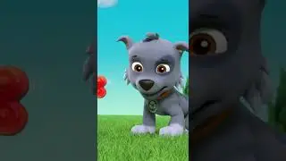 The pups cool off in a pool except for Rocky - Paw patrol