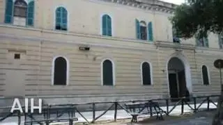 Despacito parodia