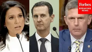 'What Was Discussed In That Meeting?': Martin Heinrich Presses Tulsi Gabbard On 2017 Assad Meeting