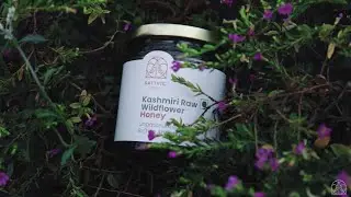 Straight from Kashmir: Raw Wildflower Honey (NMR Tested)