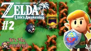 Goponga Swamp & Bottle Grotto | The Legend of Zelda Link's Awakening Part 2