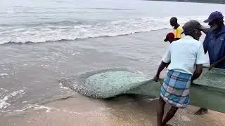 Explore Galle, Discover Its Hidden Gems & Interesting Fishing Activities by Galle Beach