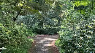 Rhododendron Botanical Garden
