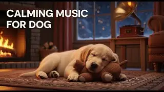 24/7 Dog Music for Deep Sleep : Help Your Anxious Pup Relax & Overcome Separation 🐕😌😴