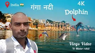 गंगा में Dolphin निकला 🐬| Dolphin Spotted in Ganga / Mister Rohit / @MisterRohit398