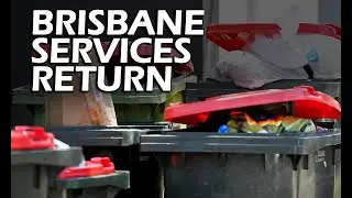 When Brisbane TRANSPORT and SERVICES will return - Cyclone Alfred Update