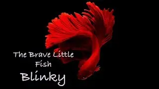 The Brave Little Fish, Blinky | Original Short Bedtime Story for Kids, English