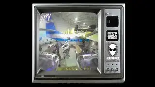 Alienwhoop Zero Review and Flights