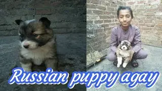 Russian papi a gaya butifull papi