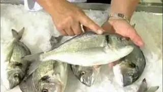 Como escolher o peixe fresco