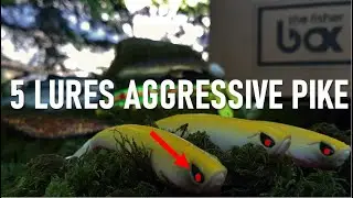 TOP 5 : LEURRES QUI &Eacute;NERVENT LES GROS POISSONS ( Brochets, Perches, Sandres, Black Bass, Silures )