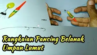 Cara membuat rangkaian Pancing Belanak || Umpan Lumut (how to make a moss fishing line) Mullet Fish