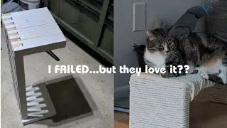 Is turning a DIY failure into a cat bed actually worth the mess??
