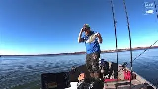 DTF NONSTOP Crappie action!