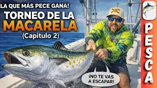 TORNEO DE PESCA. Todos Pescaron Macarela. Pero Nadie Confes&oacute;. BATALLA DE PESCA en Alta Mar. (CAP.2)