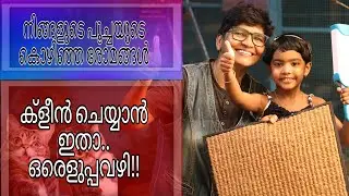 Easy Way For Cleaning Cat Shedding | Cats Rehoming | Pet Parenting | Nandas PetsUs | Vanaja Subash