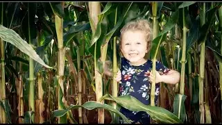 Image Studios Showreel 2019