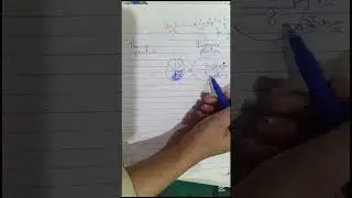Explaining Fraction and it's Types | ECT TEST PREPARATIONS | STS TEST |