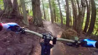 Fernie Trail Alliance &ldquo;Coal Creek Trail&rdquo;