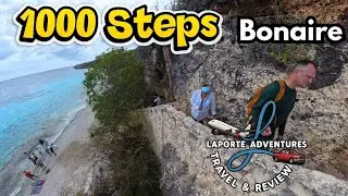 Snorkeling Bonaire&rsquo;s 1000 Steps Until We Finally Found a Sea Turtle