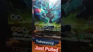Pok&eacute;mon Black Bolt Zekrom EX Japenese Chase Card