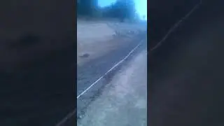 Dabbing 101(not clickbait)