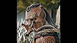 Predator VS Amazing animal #marvel #avngen