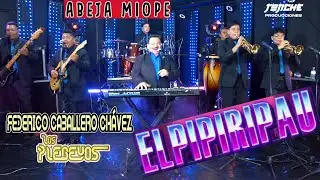Los Plebeyos  - ( Abeja Miope  & El Pipiripau ) En Vivo Tonche Live