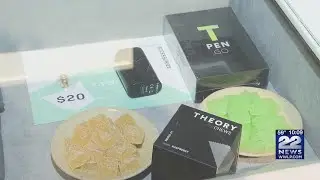 Treevit begins local marijuana delivery for Theory Wellness