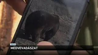 Medvevadászat