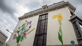 Murals with morals: Turkish street artist 'No More Lies'