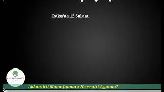 Akkamitti Mana jannata Keessatti jaarratuu dandeenya?||UNITYMEDIA-1|| Let's work together.