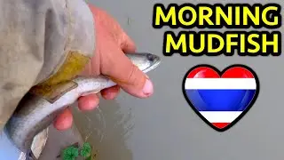 Catching an early morning Mudfish & a day out for the goose - Toon & Leigh in Thailand