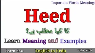 Heed Meaning in Urdu