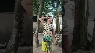 ucup ngeledek kakak