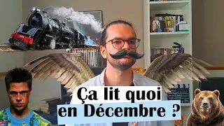 Fight Club, Paul AUSTER, Emmanuel CARRÈRE : qu'est-ce que j'ai lu en Décembre ?