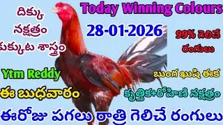 28 జనవరి 2026 ఈ రోజు పగలు రాత్రి గెలిచే రంగులు