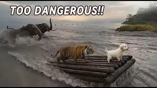 Too Dangerous to Run&hellip; Sam Faced the Flood and Became a Hero