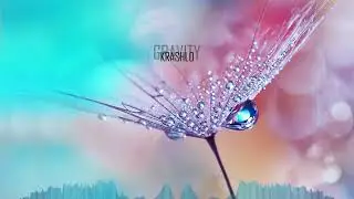Krashlo - Gravity